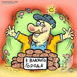 Аграрні підсумки 2017-го: картоплю та овочі вирощує лише населення Аграрні підсумки 2017-го: картоплю та овочі вирощує лише населення