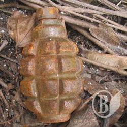 ϳ� ������ ��������� �������