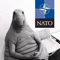 Затверджено план співробітництва з НАТО на 2018 рік