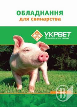 ������� ��� ��������: ������������ ����� � ������� ��� �������� �������