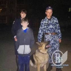 Поліцейський собака знайшов заблукалого у лісі хлопця Поліцейський собака знайшов заблукалого у лісі хлопця