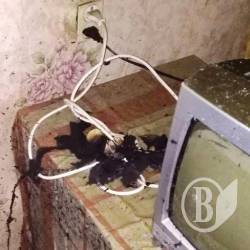 Загинути від електрики в… 79 років
