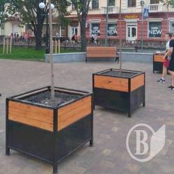 Ящики з деревами в Чернігові – по 17 тисяч кожне Ящики з деревами в Чернігові – по 17 тисяч кожне