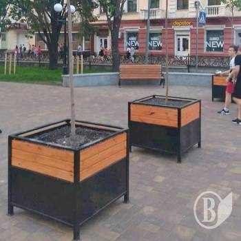 Ящики з деревами в Чернігові – по 17 тисяч кожне Ящики з деревами в Чернігові – по 17 тисяч кожне