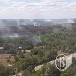 Пожежа чорнобильського лісу локалізована Пожежа чорнобильського лісу локалізована