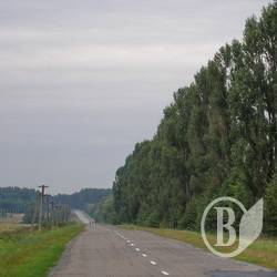 На районній дорозі постраждав піший