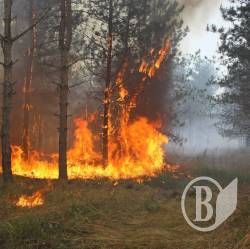 Погода вкрай пожежна, тому будьте обережні