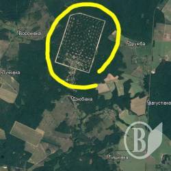 Відео телебачення й очевидців про палаючі склади боєприпасів біля Ічні Відео телебачення й очевидців про палаючі склади боєприпасів біля Ічні