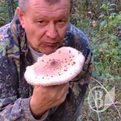Чоловік помер, бо сирих грибів попоїв?