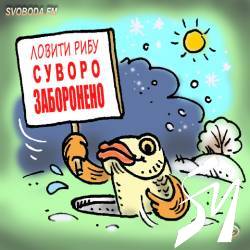 Риба іде на зимівлю! 30 місць, де заборонена риболовля Риба іде на зимівлю! 30 місць, де заборонена риболовля