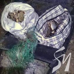 Водна поліція затримала браконьєрів Водна поліція затримала браконьєрів