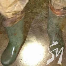 Активісти зафіксували зграю багато екіпірованих браконьєрів Активісти зафіксували зграю багато екіпірованих браконьєрів