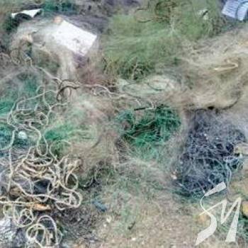 999 �������������� ���� ��������� ������������� �������