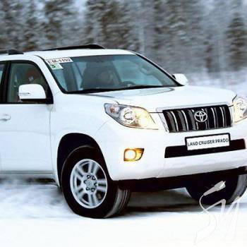   Toyota Prado  25-  