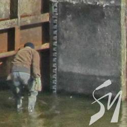На річці Остер в Ніжині прикрили шлюз На річці Остер в Ніжині прикрили шлюз