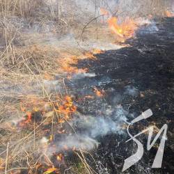 140 гектарів Чернігівщини занапастили палії 8 квітня 140 гектарів Чернігівщини занапастили палії 8 квітня