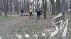 В РЛП «Ялівщина» розпочато знесення аварійних дерев В РЛП «Ялівщина» розпочато знесення аварійних дерев