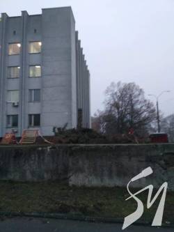 Ялинку біля Деснянської районної ради зберегти не вдалося