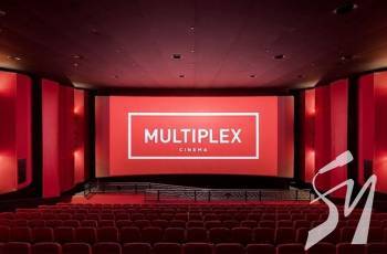  Multiplex           
