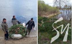 На Десні встановлено нерестові гнізда