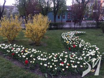 � �������� ������� ������� 120 ����� ���������