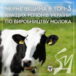 Андрій Прокопенко: Чернігівщина входить в топ-3 кращих регіонів України по виробництву молока Андрій Прокопенко: Чернігівщина входить в топ-3 кращих регіонів України по виробництву молока