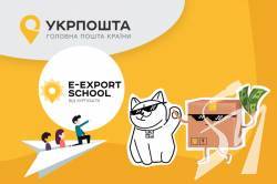     Shopify  15 :      USAID