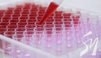      13357   COVID-19,  257 