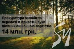 Прокуратура запобігла передачі в приватні руки ділянки оціночною вартістю 14 млн. Прокуратура запобігла передачі в приватні руки ділянки оціночною вартістю 14 млн.