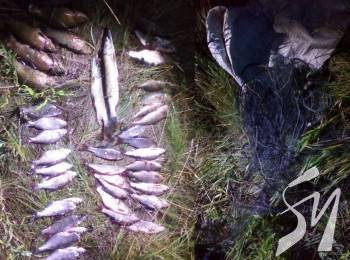 42 ������ �������� � ��������� ����������