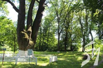 �� ��������� ��������� ���� � ��������