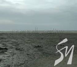 У Маріуполі море на 100 м відійшло від берега У Маріуполі море на 100 м відійшло від берега