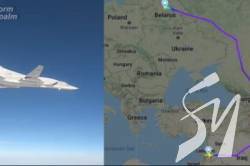 ̳      ,       InformNapalm