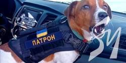 Дмитро Комаров у Чернігові познайомився зі справжньою зіркою воєнного часу Дмитро Комаров у Чернігові познайомився зі справжньою зіркою воєнного часу