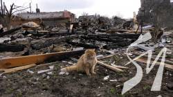 �������� ������ ������ � ���-����������� ���� � ��� ����� ������ - CNN