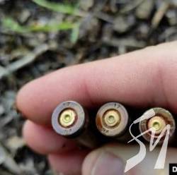 «Їх виводили по одному і розстрілювали»: масові вбивства росіянами на Чернігівщині