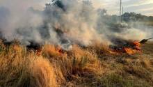 Обстріли на Миколаївщині: вигоріло 10 гектарів пшениці, пошкоджене зерносховище