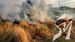 Обстріли на Миколаївщині: вигоріло 10 гектарів пшениці, пошкоджене зерносховище Обстріли на Миколаївщині: вигоріло 10 гектарів пшениці, пошкоджене зерносховище