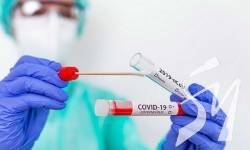 COVID-19  :      597  