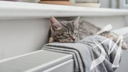 � �������� ������ ��������� ������ ������� �� ��������