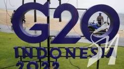       G20