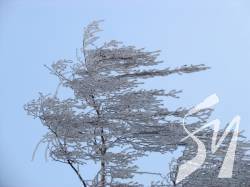 �� ����������� ��������� �������� ������������, ������ ���� ���������� 20 �/�