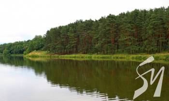 � �������� � ���� �������� ������� ���