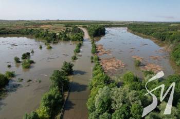 �� ������������� ���������� �������� ������� 10 ����� ������� ���� ����� ����� ���