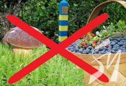 Прикордонники нагадують про заборону відвідування лісів на Чернігівщині